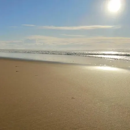 Ocean Et Foret * Soustons