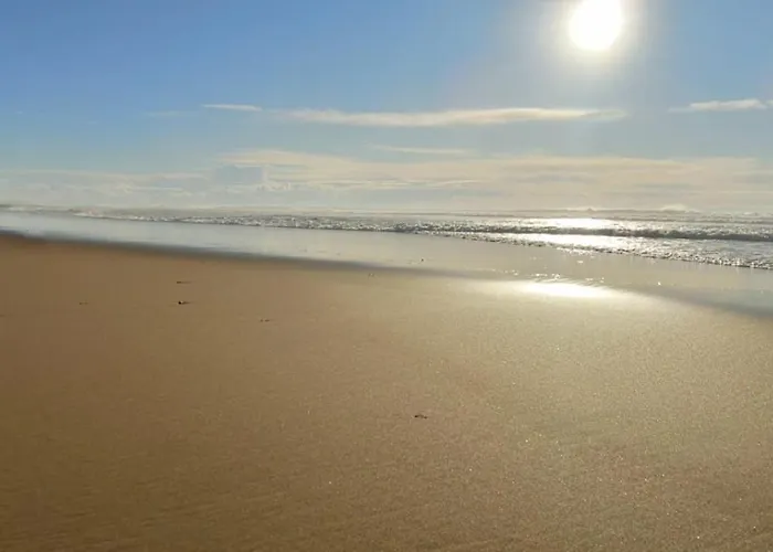 Ocean Et Foret * Soustons
