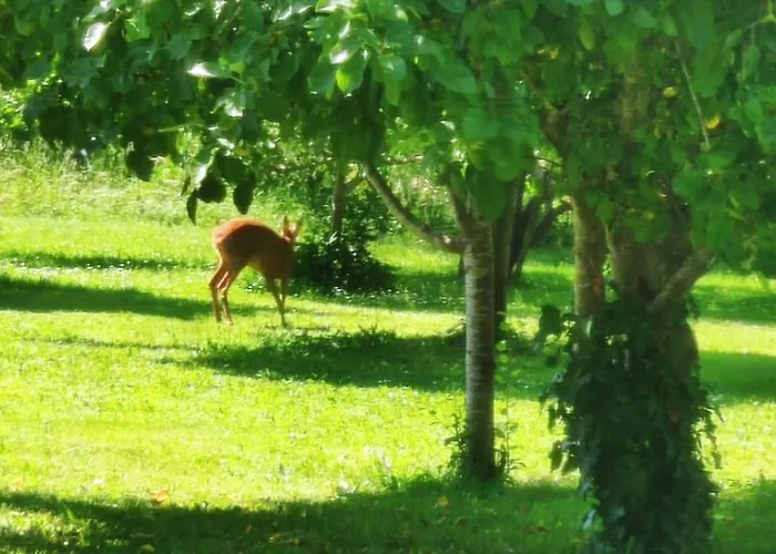 Ocean Et Forêt Séjour chez l'habitant Soustons